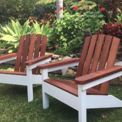 Hamptons Hybrid hardwood Chair